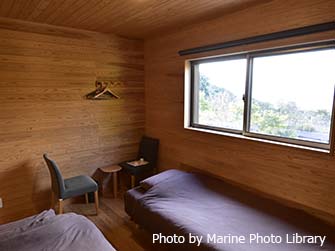 室内は紀州産の木材をふんだんに使い、ぬくもりあふれる仕上がりになっている。こちらはツインルーム