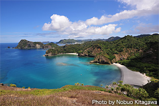 2011年、日本で４番目における世界自然遺産として認定された小笠原諸島。「これまで大陸と繋がったことのない海洋島のため、島にたどり着いた生物が独自に進化を遂げ特異な生態系を有していること 」が世界遺産として評価された理由。海はもちろん、美しい景色が見られる展望台やトレッキングツアーなど、さまざまな大自然と遊べる。