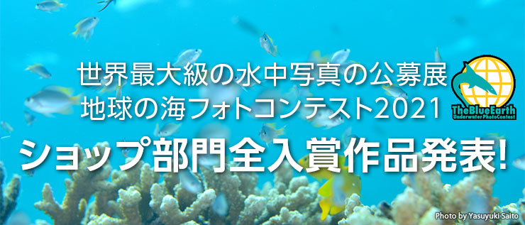 地球の海フォトコンテスト2021【ショップ部門入賞作品】