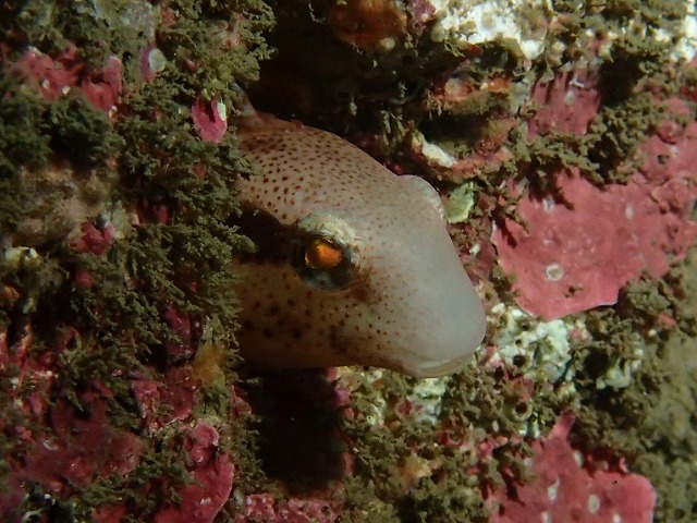 きれいな海や~(^^♪