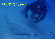 2015年の営業は本日から開始!