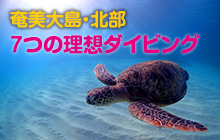 奄美大島・北部　7つの理想ダイビング