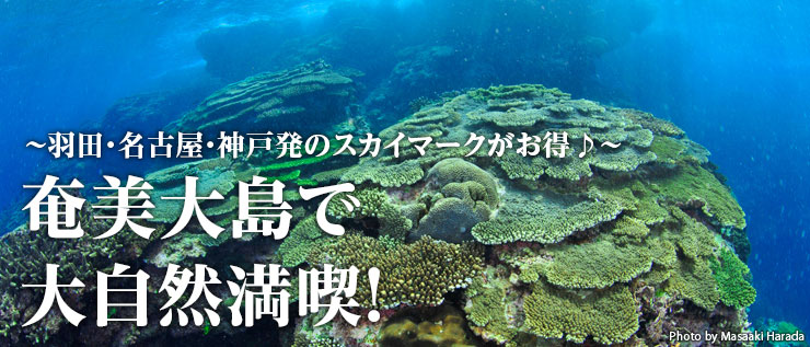 奄美大島で大自然満喫!