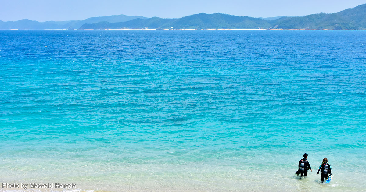 奄美大島で見つけた絶景尽くしのフォトジェニックスポット