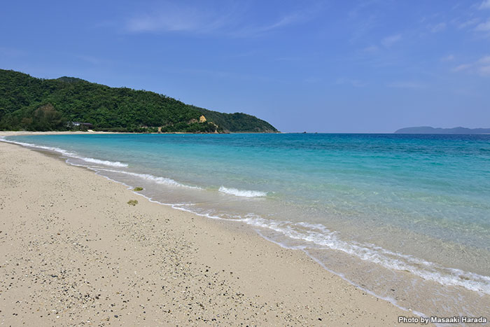 北部の笠利湾にある倉崎ビーチは、島で一二を争うフォトジェニックビーチ