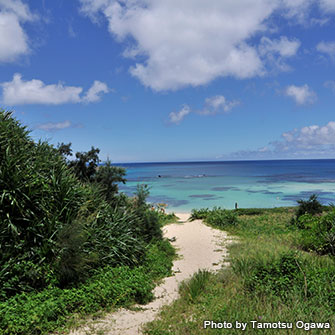 北部先端にある、奄美大島を代表するビーチ・土盛海岸。目の前には太平洋が広がる