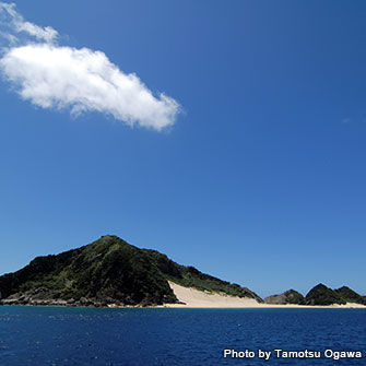 島の南部・古仁屋から行く無人島・ハンミャ島は、秘境感たっぷり！