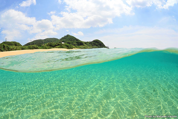 春夏秋冬、1年中さまざまな魅力がある奄美の海は、一度行くと何度でも訪れたくなる！