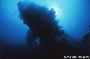 マクロ生物がザクザク見つかる沈船“リバティー号”。第二次世界大戦で日本軍に追われて座礁した貨物船だ。流れもなく、ビギナーOK！