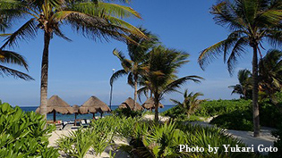 3-bedroom Ocean Pool Villaからはビーチ、そしてカリブ海を望む