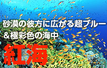 砂漠の彼方に広がる超ブルー＆極彩色の海中 紅海