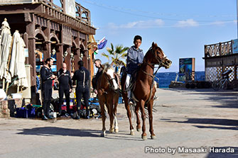 ダハブの繁華街の通りは車は規制されているのだが、馬やラクダは普通にいる。ダイバーもめちゃくちゃ多い