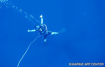 世界一人気のビーチリゾート ハワイでダイビング オアフ島 ハワイ島 マウイ島の潜り方 エリア情報 Marine Diving Web マリンダイビング ウェブ