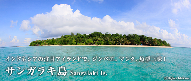 インドネシアの注目アイランドで、ジンベエ、マンタ、魚群三昧！サンガラキ島　Sangalaki Is.