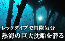 熱海の巨大沈船を潜る