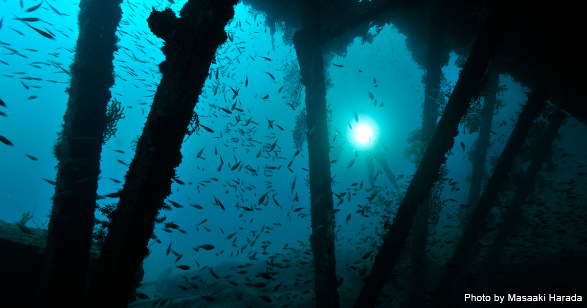 熱海の巨大沈船でレックダイブ！｜エリア情報｜Marine Diving web（マリンダイビングウェブ）