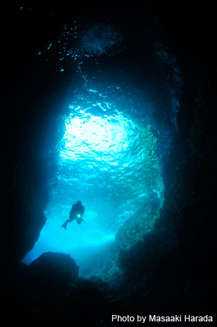 11月から3月の期間限定で潜れる「小曽我洞窟」は最大水深が12メートルと浅めでビギナーでも安心の洞窟スポット