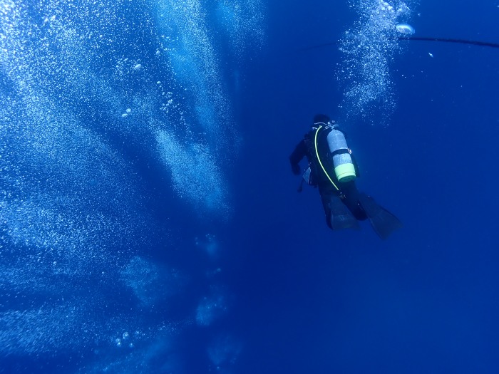一番浅いところまでロープ潜降、または流れがない場合はフリー潜降となります