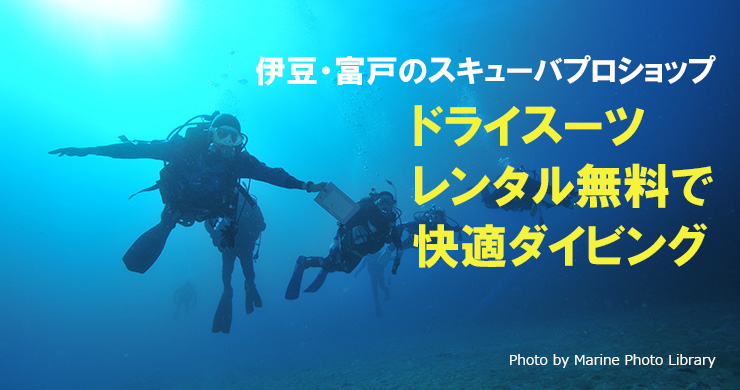 伊豆・富戸のスキューバプロショップならドライスーツレンタル無料