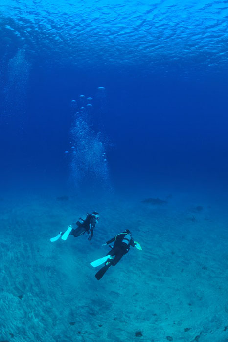 冬の超ブルーな富戸の海。ドライがあれば快適♪