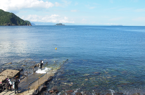 東京から2〜3時間でウミガメに会える海・川奈ダイビング基本情報
