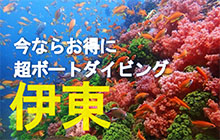 初伊東ボート18,700円→15,000円