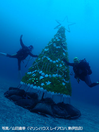 クリスマスシーズンには水中にクリスマスツリーが設置されるなどイベント性たっぷり
