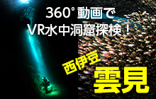 360°動画でVR水中洞窟探検！　西伊豆 雲見