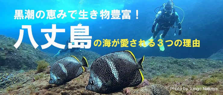 八丈島の海が愛される３つの理由