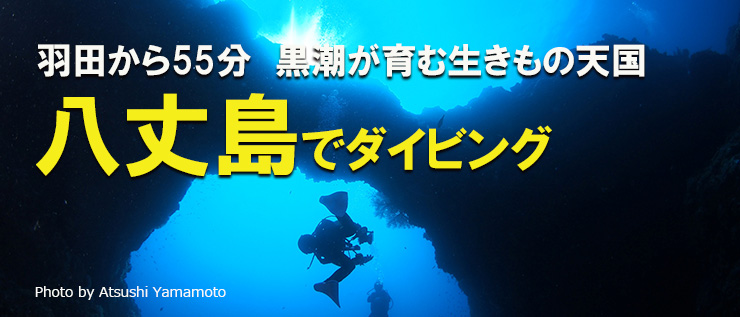 八丈島でダイビング