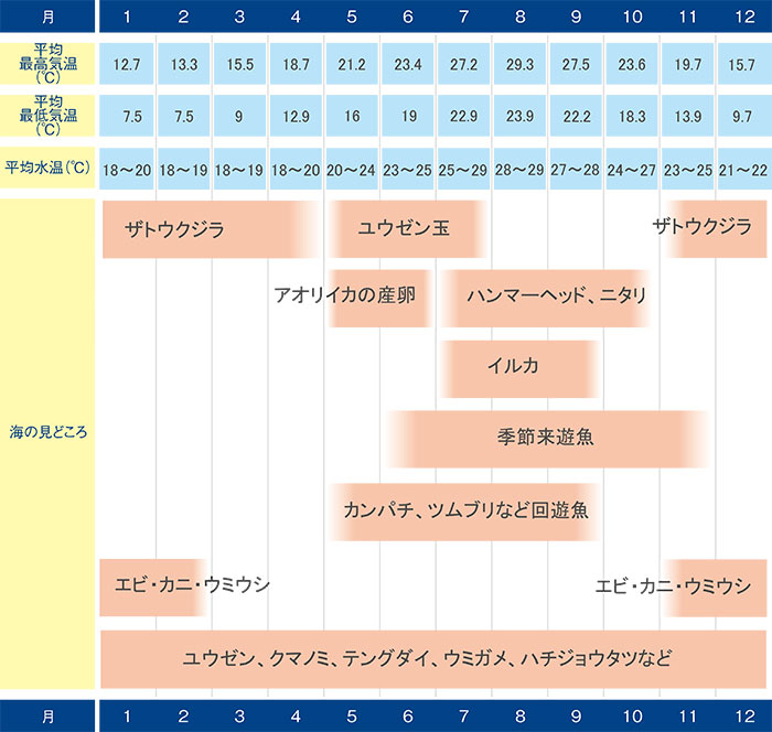 シーズン表