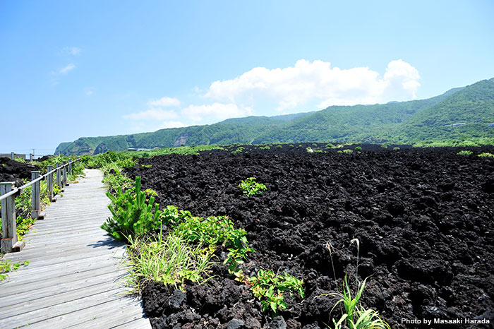 1983年の噴火による溶岩流で埋没した阿古地区の一部を見ることができる「火山体験遊歩道」