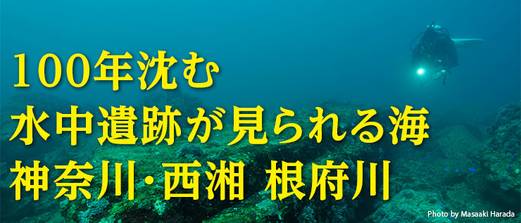 100年沈む水中遺跡が見られる海 神奈川・西湘 根府川