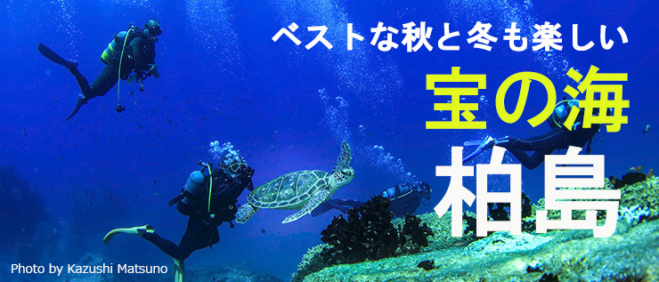 ベストな秋と冬も楽しい 宝の海 柏島