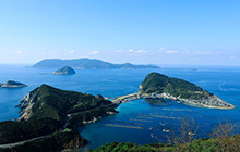 ベストシーズンの柏島　ガイドが語る魅力