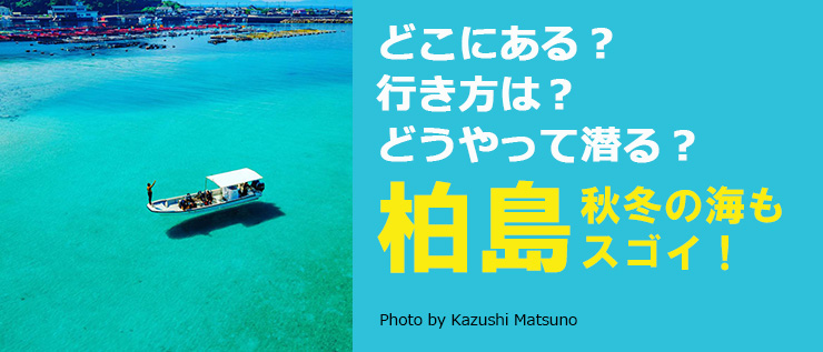 柏島～秋冬の海もスゴイ！