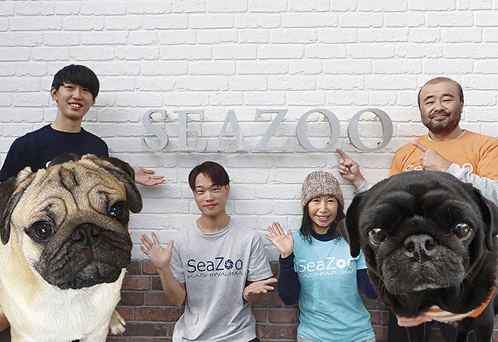 Photo by SEAZOO