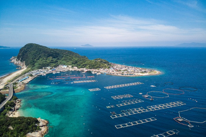 青い海に囲まれた島は柏の葉に形が似ていることから名づけられたといわれます