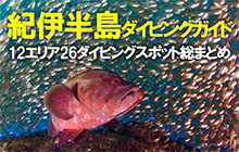紀伊半島ダイビングガイド