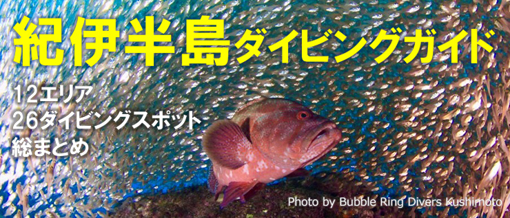 紀伊半島ダイビングガイド