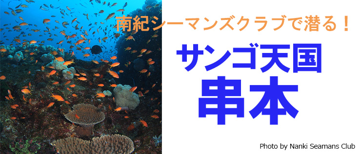 サンゴ天国 串本