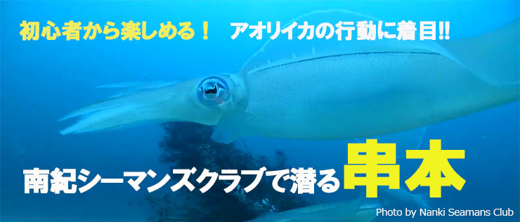 南紀シーマンズクラブで潜る串本 国内 エリア情報 Marine Diving Web マリンダイビングウェブ