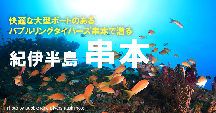 バブルリングダイバーズがご案内 串本の旬の見どころ エリア情報 Marine Diving Web マリンダイビングウェブ