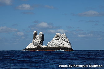 海上にそびえる岩は、海鳥たちのくつろぎの場所になっている