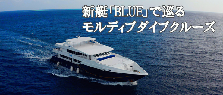 新艇「BLUE」で巡るモルディブダイブクルーズ