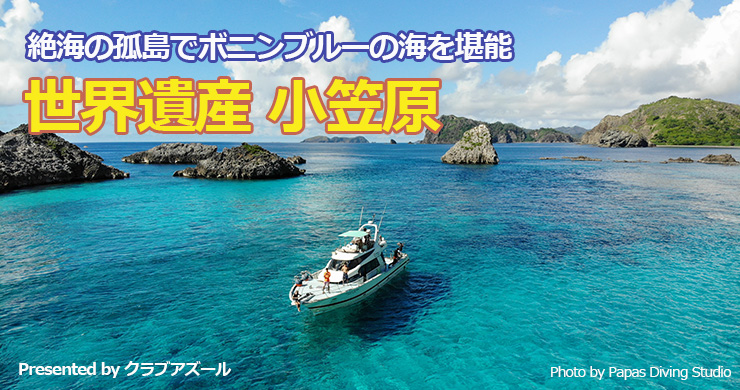 世界自然遺産 小笠原 【4K・HDR】~ボニンブルーの海~ [Ultra HD Blu-ray]
