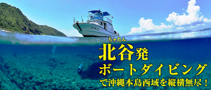 最高の思い出を残したい！ 　宮古島フォトジェニック旅　Vol.1ウミガメと記念撮影♪