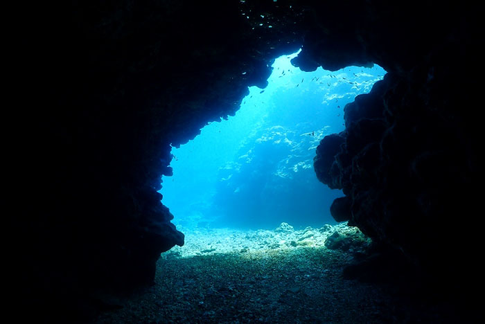 出口の窓に見えるブルーが幻想的!