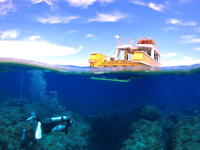 大型ダイビングボートの船尾は頑丈なラダーが付いていて、ジャイアントエントリーができない人は段を降りてチャポンと入ることもできる。エグジットはフィンを履いたままでも余裕