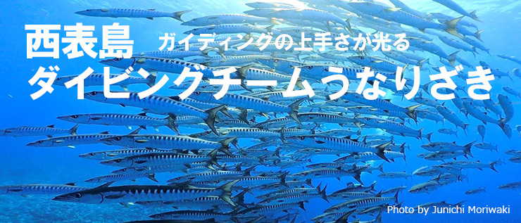 ダイビングチームうなりざき